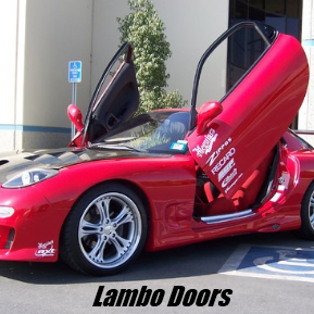 Lambo Doors